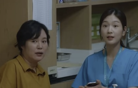 슬기로울 전공의생활 : 의사 로드맵 정리