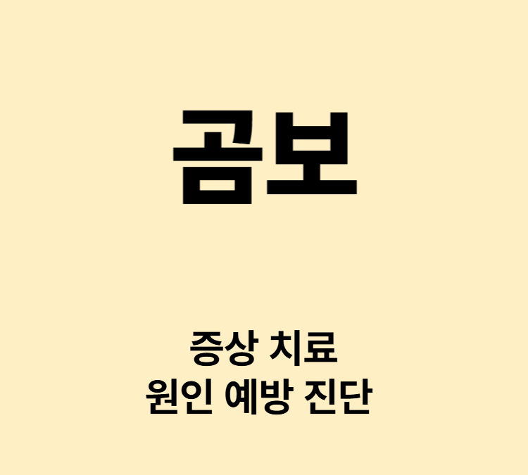 피부 표면이 패이거나 울퉁불퉁하게 변형 곰보 치료