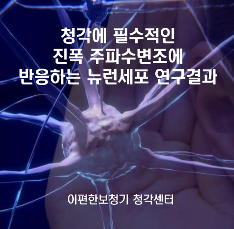  청각에 필수적인 진폭 변조 주파수에 반응하는 뇌 세포 집단 연구