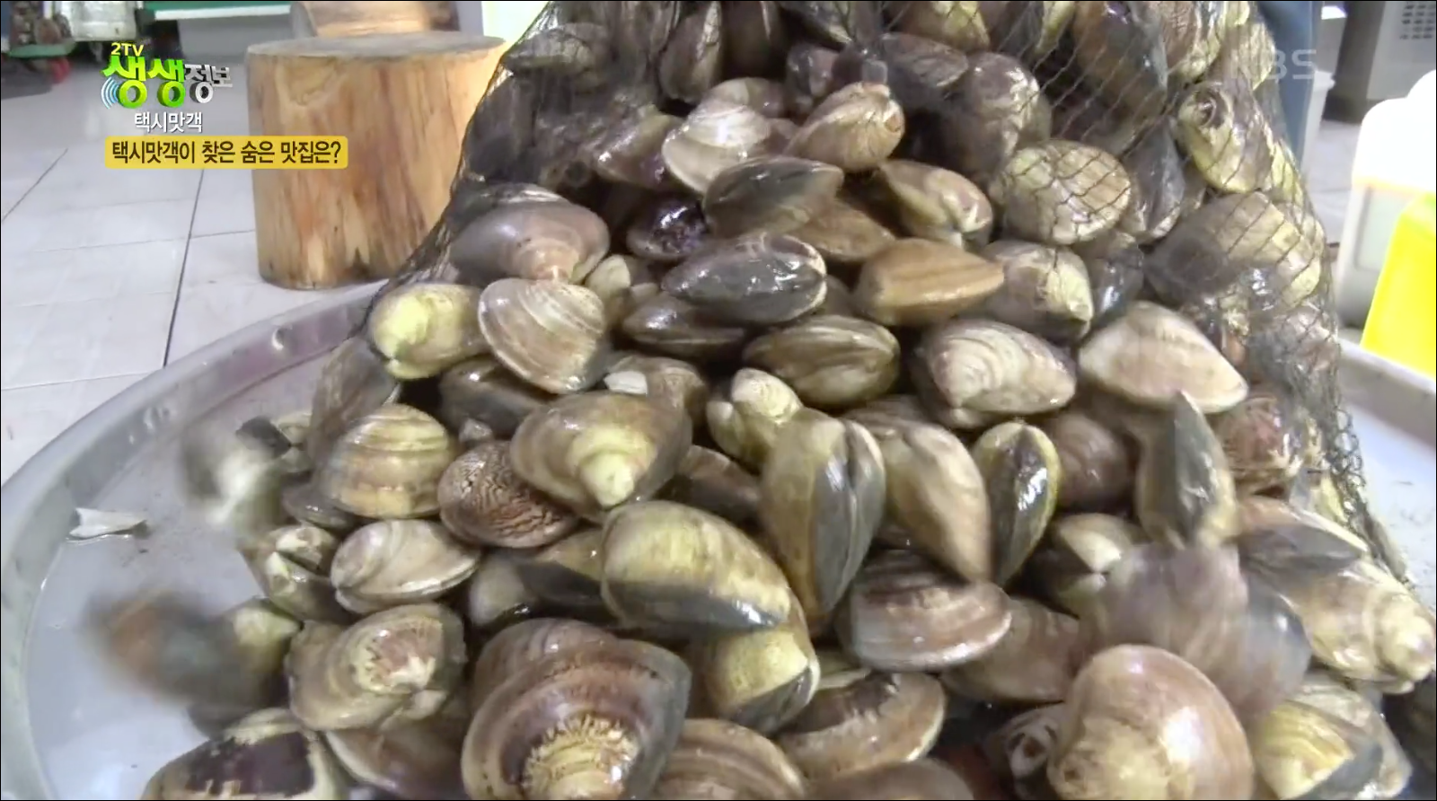  [TV속맛집] 전북 고창군 백합정식 맛집 본가 #전북 고창 백합 요리 한 상 #고창 백합정식 본가 #2TV 생생정보 - 1203회 방영