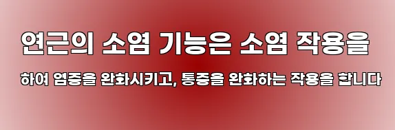  연근의 소염 기능은 소염 작용을 하여 염증을 완화시키고, 통증을 완화하는 작용을 합니다