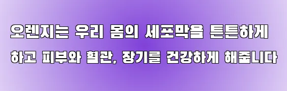 오렌지는 우리 몸의 세포막을 튼튼하게 하고 피부와 혈관, 장기를 건강하게 해줍니다