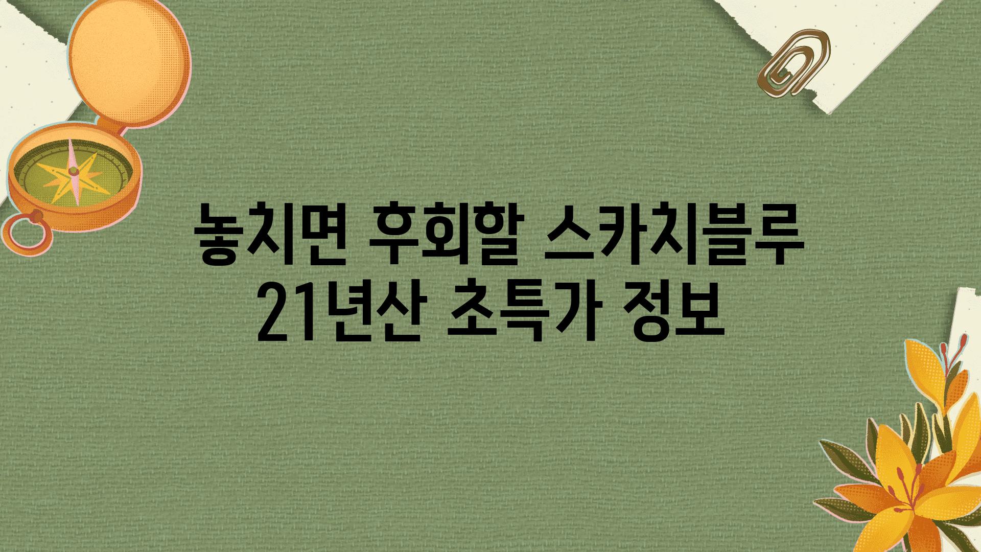  놓치면 후회할 스카치블루 21년산 초특가 정보