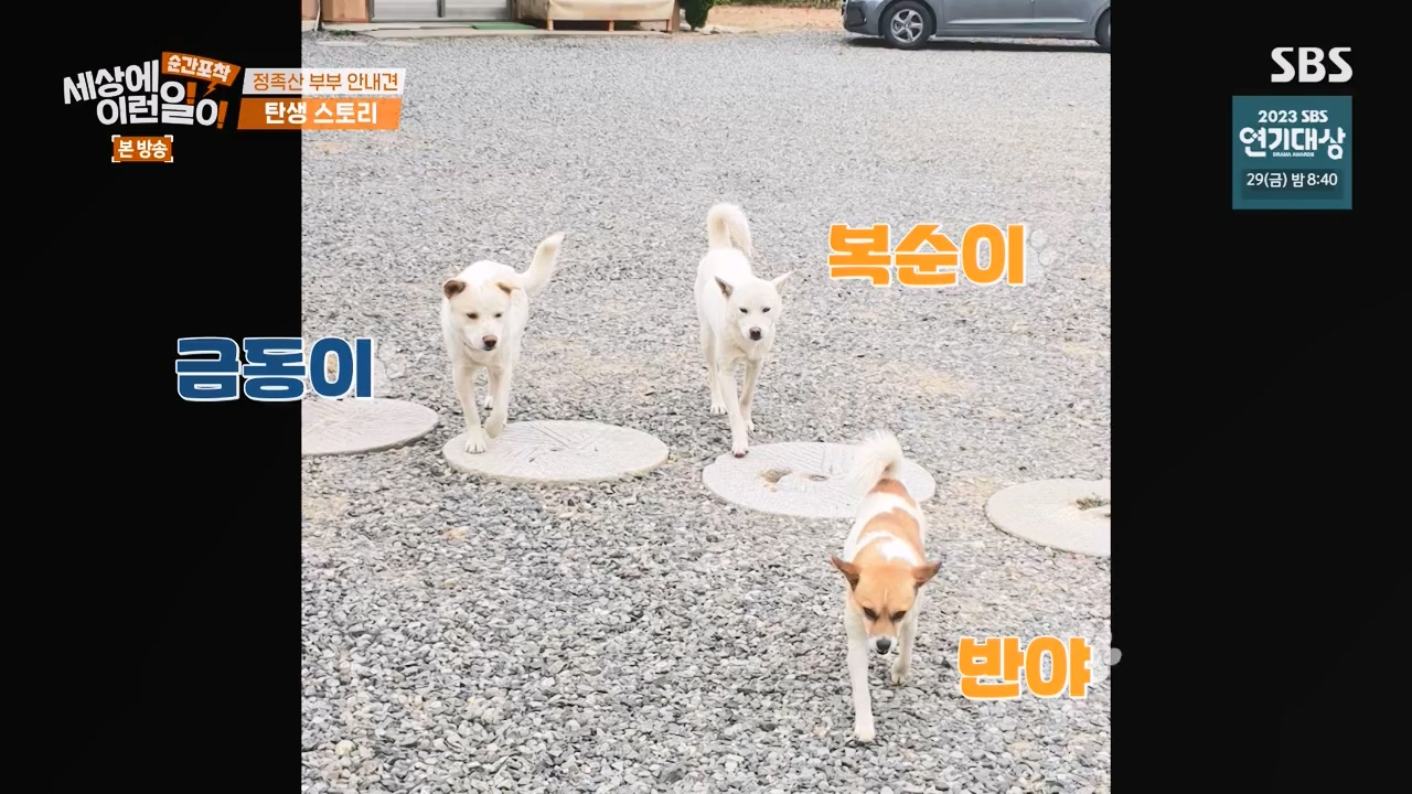 순간포착 세상에 이런일이.E1256.231217p-NEXT.mp4_20231217_175015.707.jpg