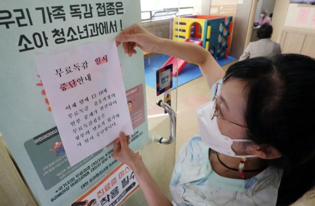  신성약품 독감백신 중단