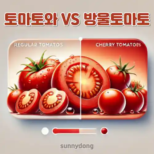 토마토와 방울토마토 영양 차이 썸네일