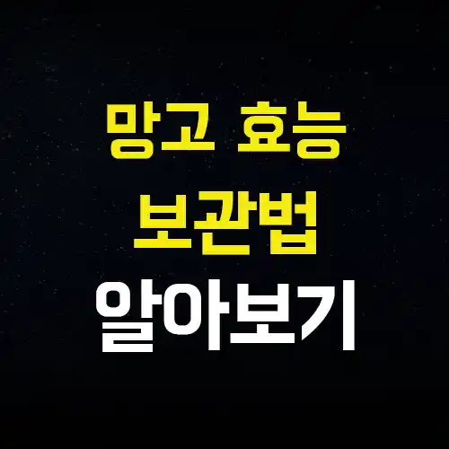  망고 효능 하루 섭취량 부작용 함께 알아봐요