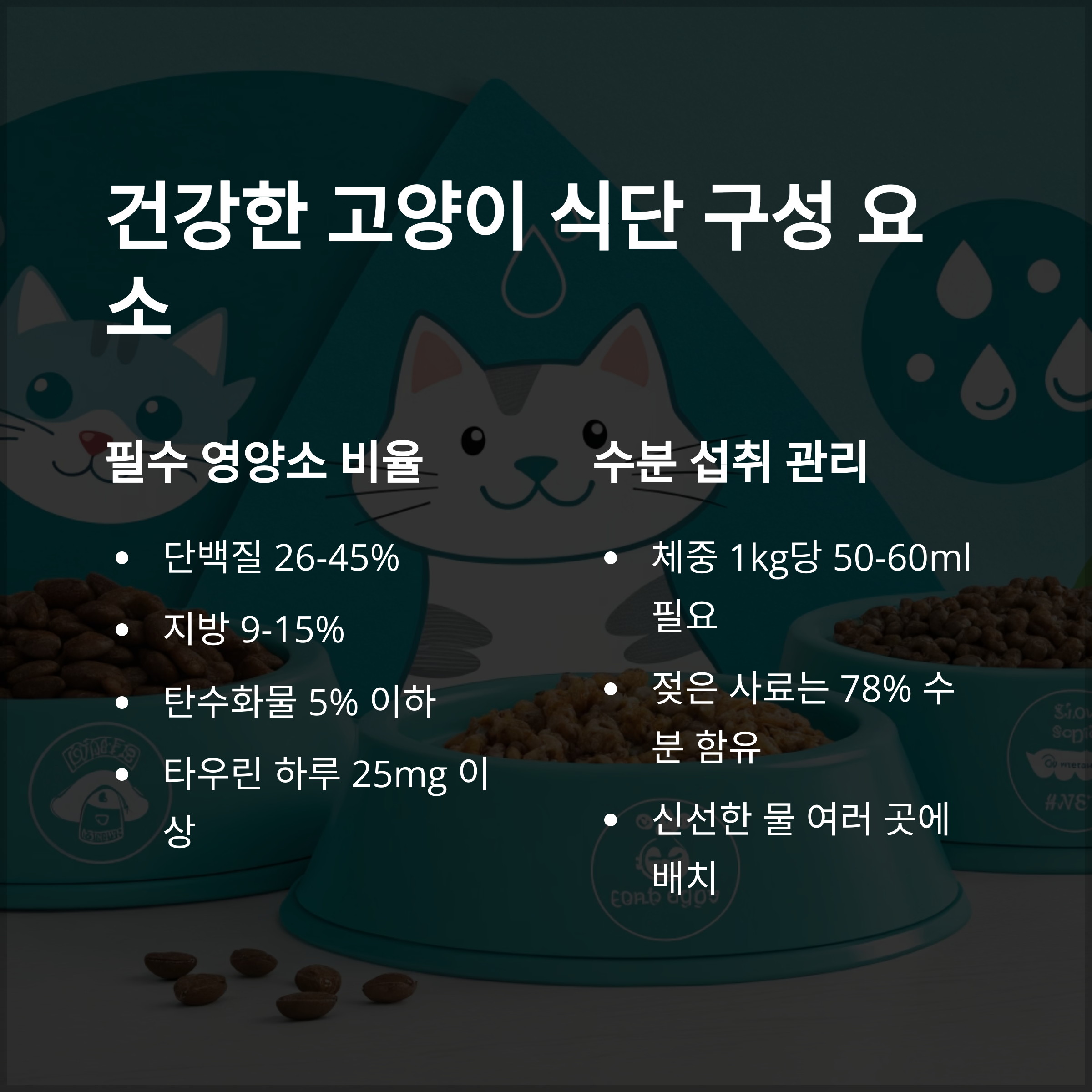 건강한 고양이 식단 구성 요소