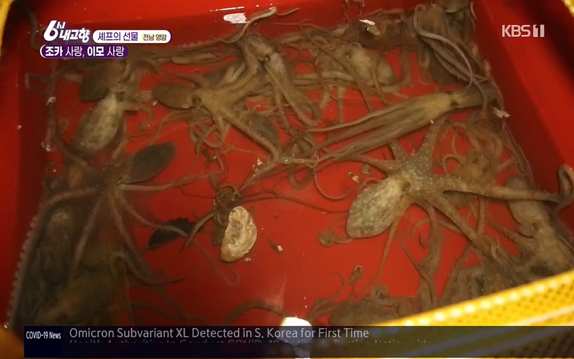 6시 내고향.E7512.220416p.H264-F1RST.mp4_20220502_193736.759.jpg