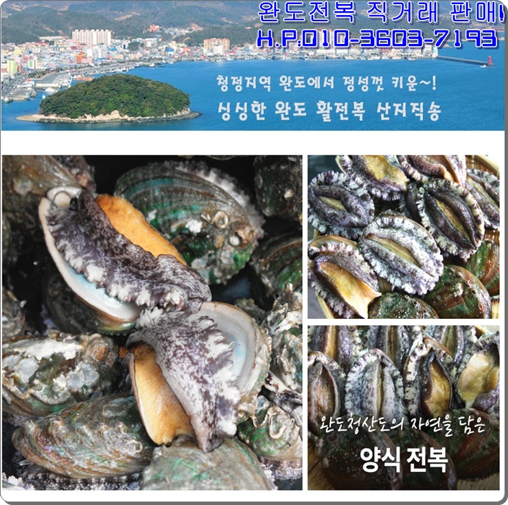 완도전복 이미지