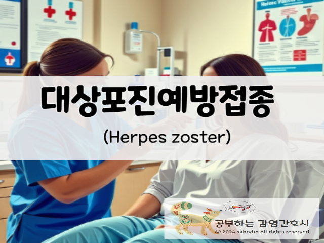 대상포진예방접종 종류 및 효과 예방접종비용(가격)과 주기, 접종 나이