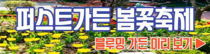 퍼스트가든 봄꽃축제 블루밍가든 보기