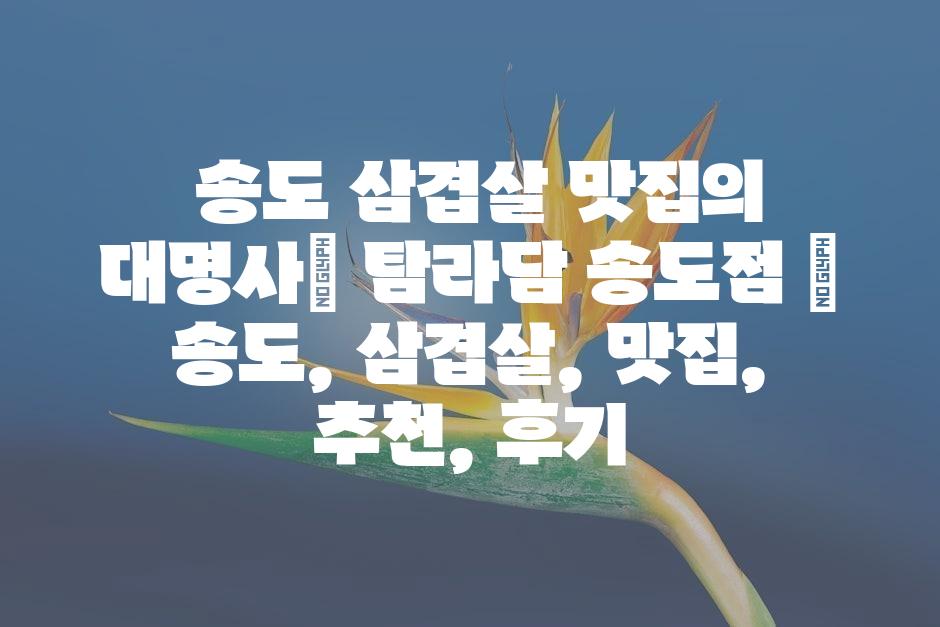 샘플 (45)