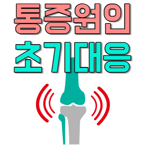  초기 통증 방치하다가 디스크 수술까지 통증부터 잡으세요.