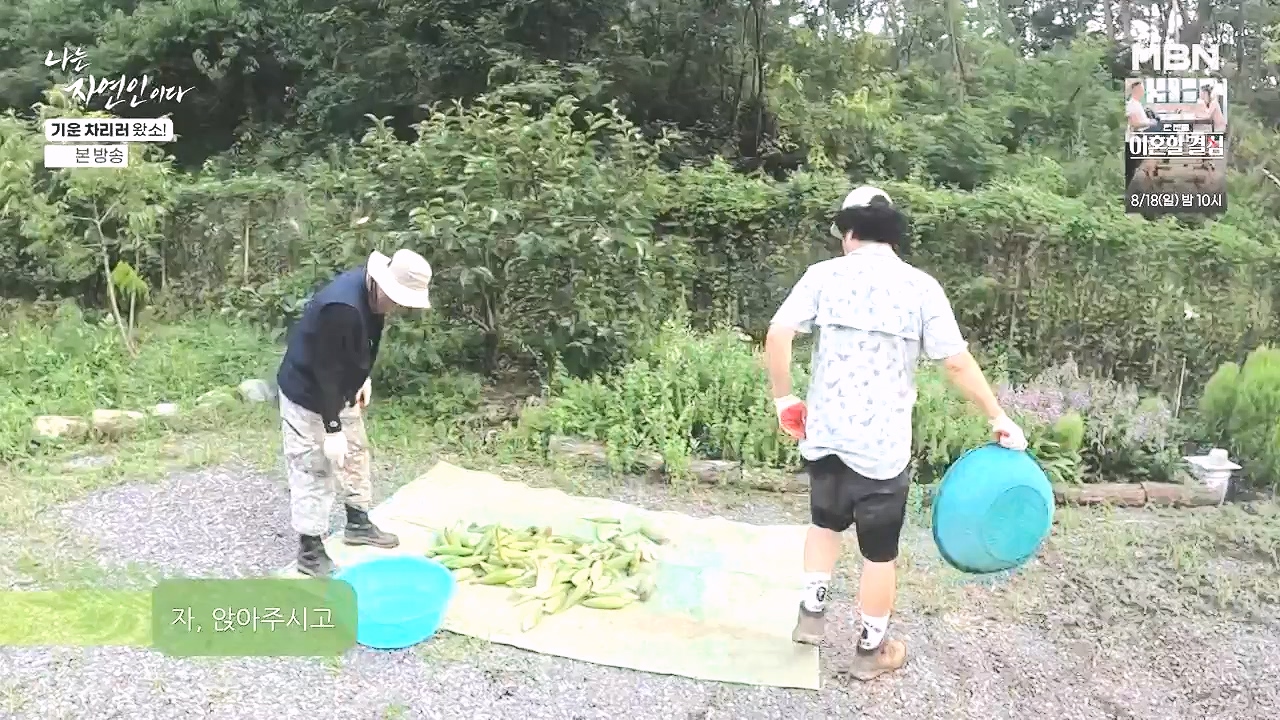 나는 자연인이다.E617.240808p-NEXT.mp4_20240808_195049.120.jpg