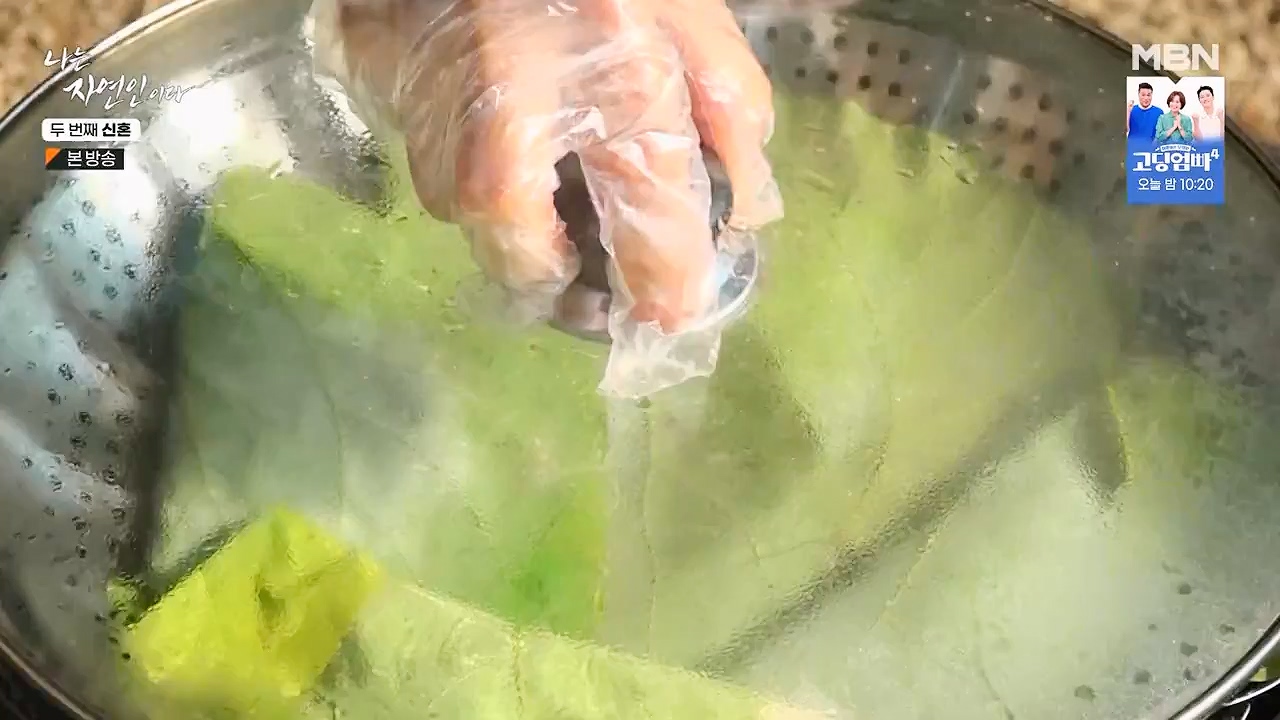나는 자연인이다.E572.230921p-NEXT.mp4_20230921_202643.187.jpg