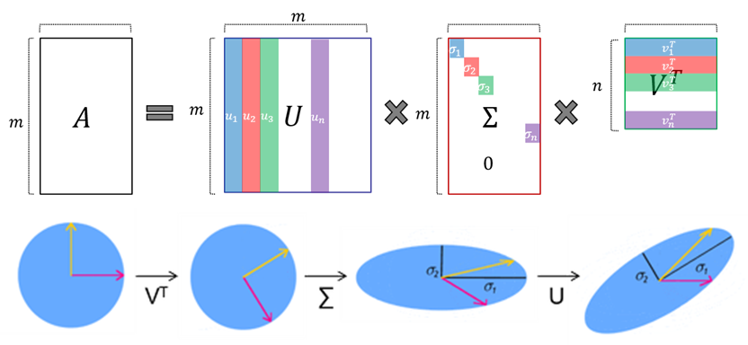 특잇값 분해(SVD)