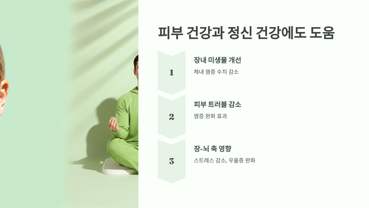 파비플로라 효능