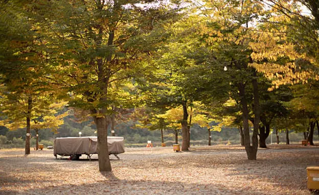 외룡캠핑장