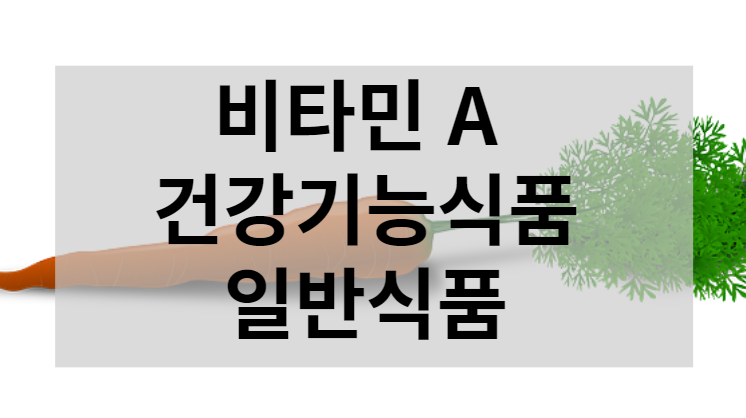 식품첨가물 비타민A