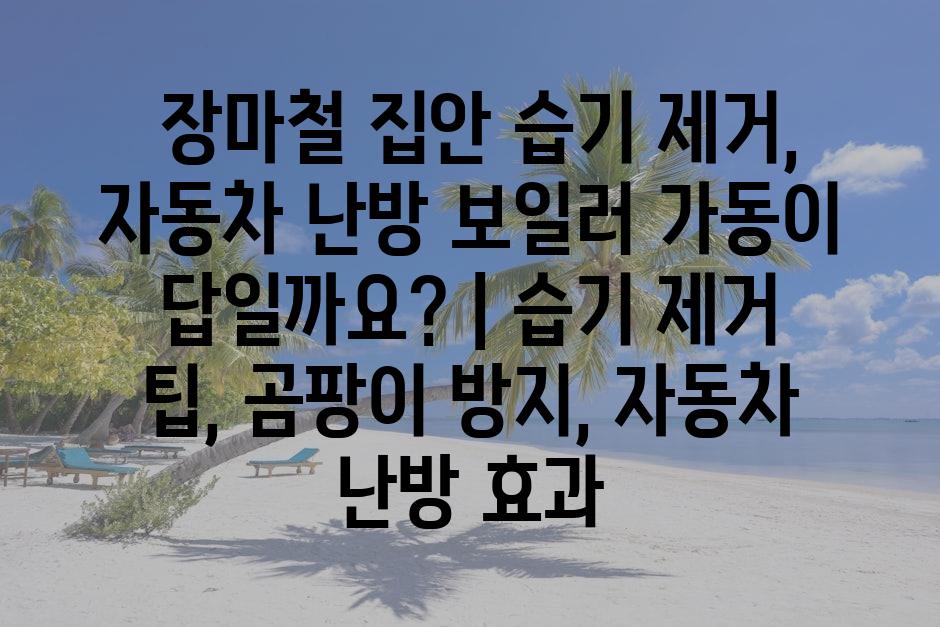 샘플 (79)