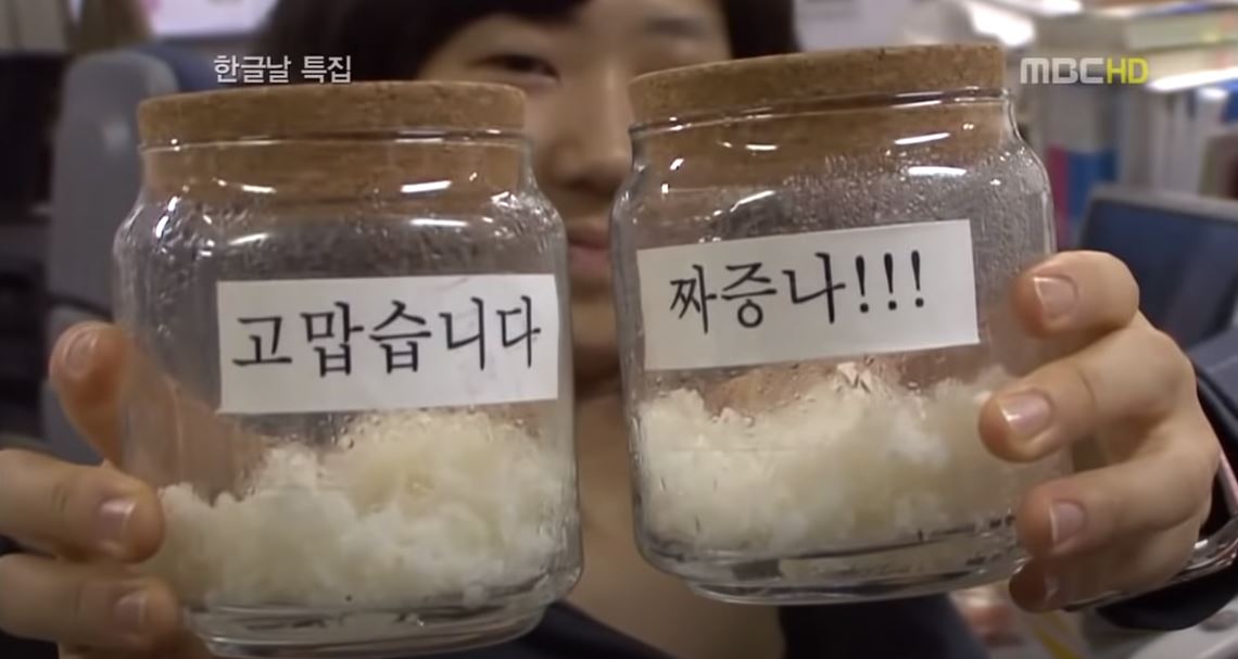  '긍정적인 말'과 '부정적인 말'이 미치는 영향력