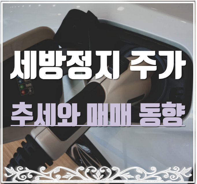  세방전지 주가 추세 및 투자자별 매매동향과 주요 소식 정리.