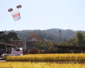 이천 쌀 문화축제_2