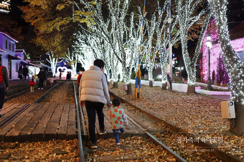 경북 축제 경북 아이와가볼만한곳 청도