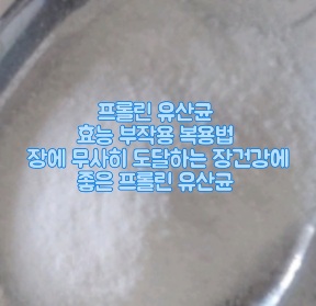 뉴질랜드-프롤린-유산균-효능-부작용-복용법
