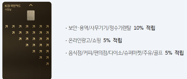 kb 국민 사장님 카드