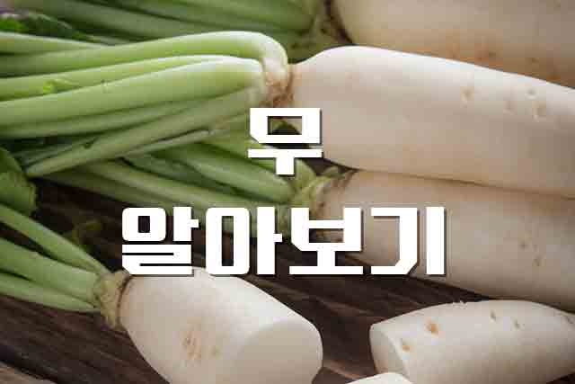  무, 알고 보면 영양 만점 무의 정보
