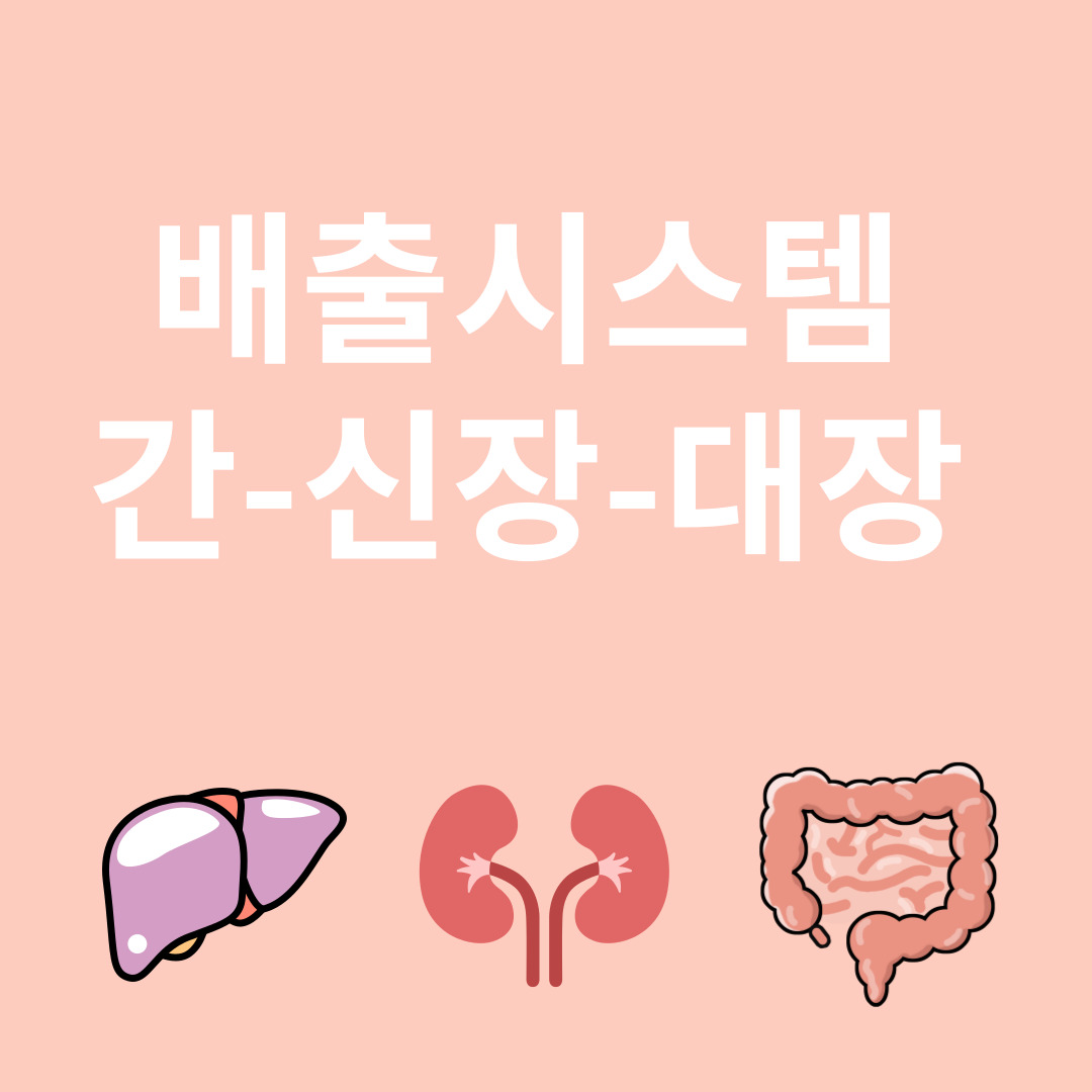 배출시스템에 대한 이미지