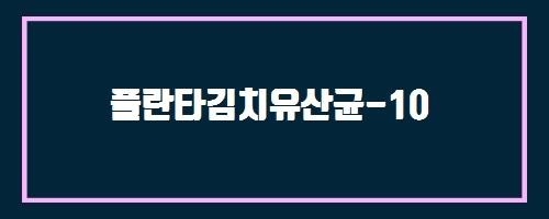  플란타김치유산균-10 And 헤모마임