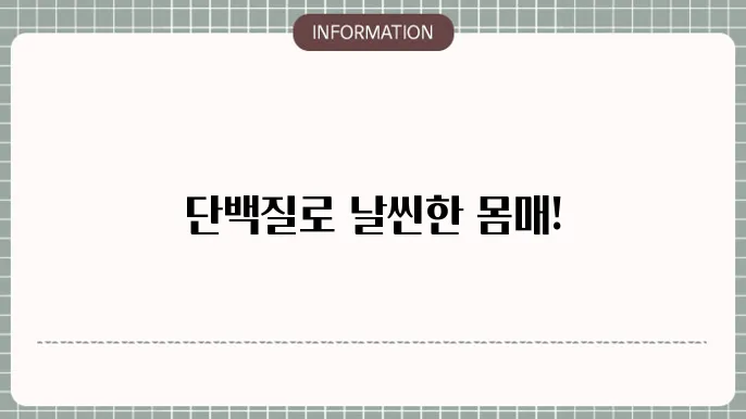 다이어트 단백질