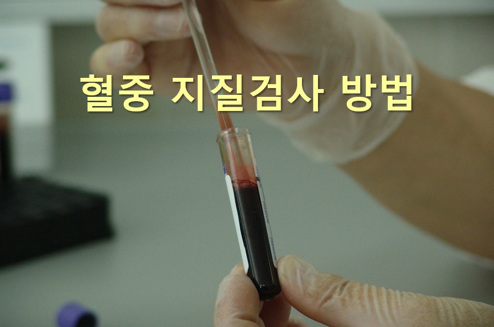  혈중 지질검사 방법과 고지혈증에 좋은 음식