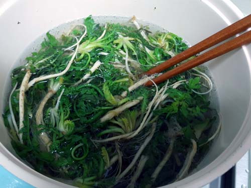 2월 제철 반찬 : 냉이된장무침 맛있게 만드는 법 2. 냉이 데치기