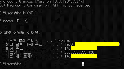 CMD IP 주소 확인