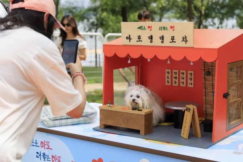 마포구 반려동물 캠핑장 홍보단 모집
