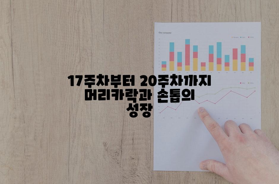 17주차부터 20주차까지 머리카락과 손톱의 성장