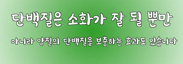  단백질은 소화가 잘 될 뿐만 아니라 양질의 단백질을 보충하는 효과도 있습니다