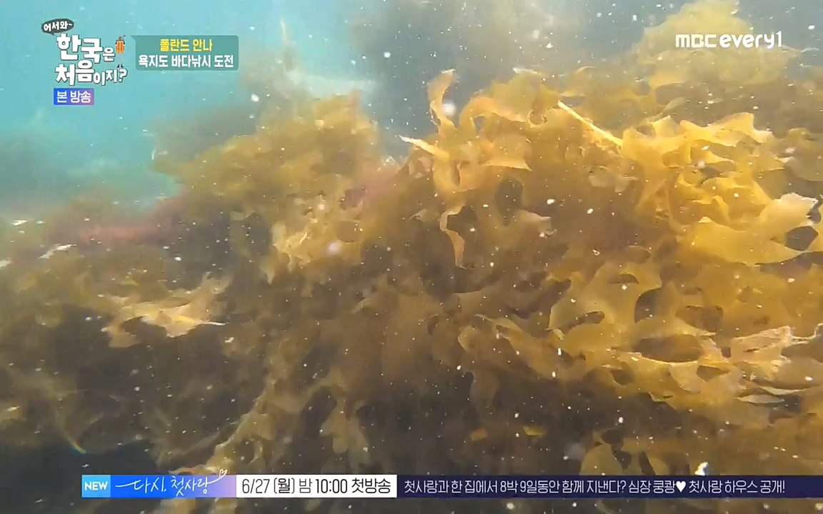 어서와 한국은 처음이지 시즌2.E216.220624p-NEXT.mp4_20220624_203648.430.jpg
