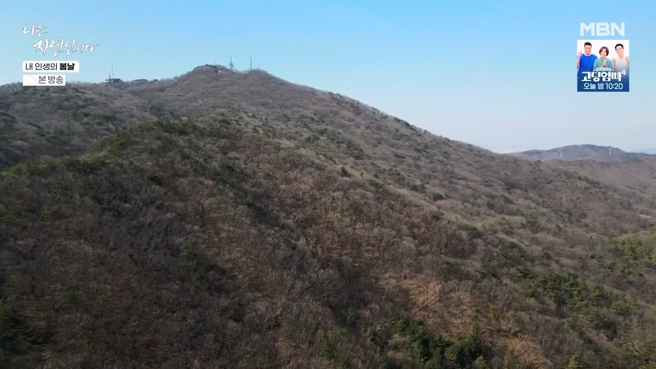 나는 자연인이다.E599.240328p-NEXT.mp4_20240328_195828.685.jpg