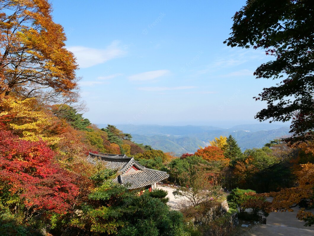  최치원, <증금천사주인>
