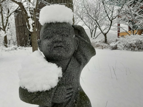 img.jpg