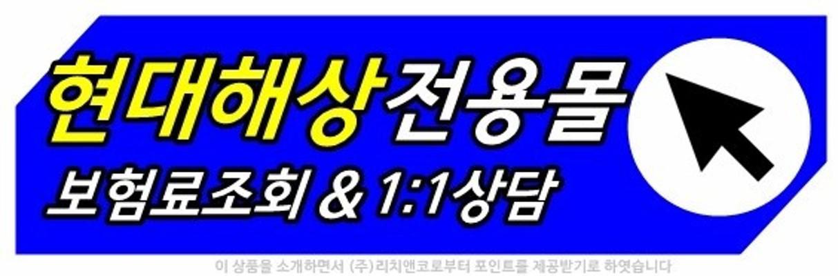 현대해상(13).jpg