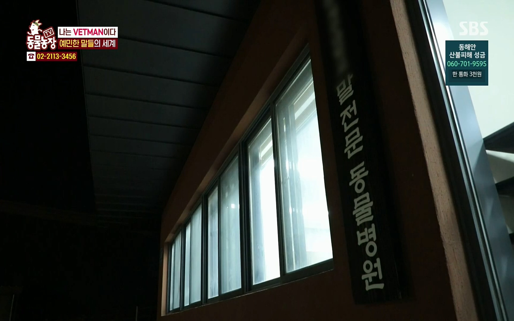 TV 동물농장.E1062.220327p.H264-F1RST.mp4_20220327_174502.123.jpg