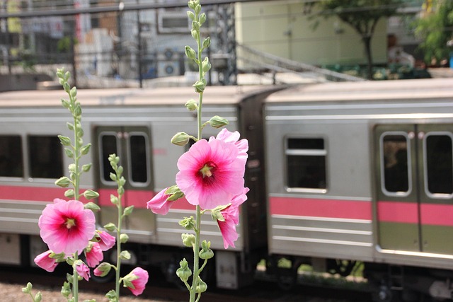 경주역 KTX 기차시간표 요금 예매방법 주차장 근처가볼만한곳 맛집