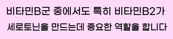  비타민B군 중에서도 특히, 비타민B2가 세로토닌을 만드는데 중요한 역할을 합니다.