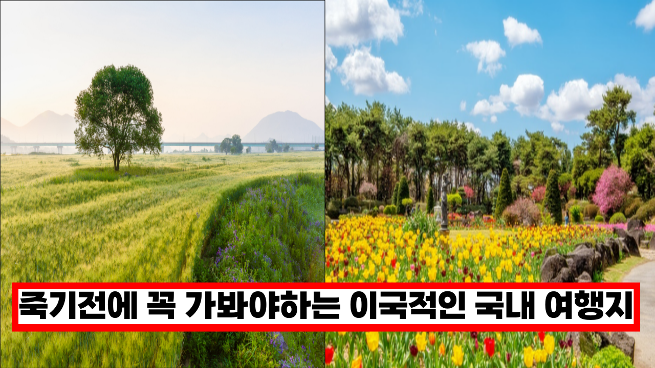  '여기 진짜 우리나라 맞아?' 죽기전에 꼭 가봐야하는 이국적인 풍경의 국내 여행지 4곳